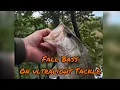 Fall Bass on Ultralight Tackle