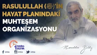 Rasulullah (ﷺ)'in Hayat Planındaki Muhteşem Organizasyonu