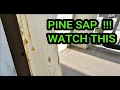How to stop SAP from coming out of wood