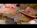 Download Lagu Brambly Hedge: Spring Story (VHS UK) (Full)
