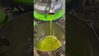 موسم زيت الزيتون في الاردن 