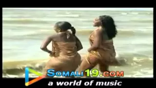 best niiko song name adilee baraakadaa