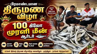 பிரம்மான்டமான கல்யாண ஆடர் முரல் மீன்