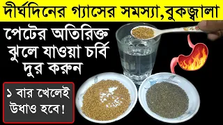 দীর্ঘদিনের গ্যাসের সমস্যা,বুকজ্বালা পেটের অতিরিক্ত ঝুলে যাওয়া চর্বি দুর করুন ১ বার খেলেই উধাও হবে !