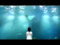 Blood Nose - hold me in your arms (Official Music Video)