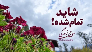 هر چی تموم شده   شکست نخورده    دندنها