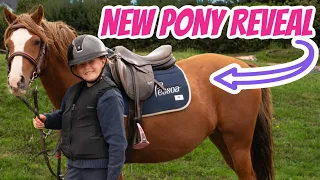 MY NEW PONY REVEAL!
