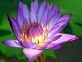 musica relajante para estudiar, relajacion, relaxing music, chillout, ken verheecke