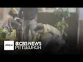 shows confrontation between apparent ICE agents and manager of restaurant