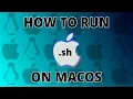 Running Bash Scripts in MacOS and Linux Terminal Tutorial