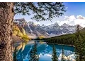 Download Lagu 2 hours of beautiful relaxing flute and violin instrumental music by Tim Janis