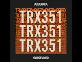Audiojack - Surrender (Extended Mix)