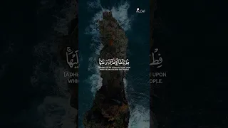 ف أ ق م و ج ه ك ل لد ين ح ن يف ا محمد صدیق المنشاوي Alminshawi 