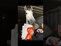 Download Lagu Durf het bijna niet te zeggen:Ben 2 keer EERSTEEEEEEEE!!!!1ste proef  191 ...2de proef 183.5
