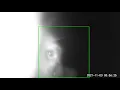 Bear Licks Trail Cam in Shaver Lake California