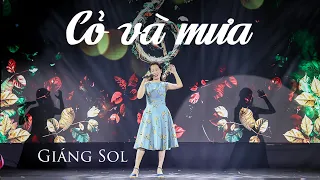 Cỏ và mưa