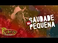 Robério e Seus Teclados - Saudade da Pequena (Clipe Oficial)
