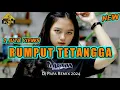 RUMPUT TETANGGA 🌴 LAGU PARTY POPULER 🌴 DJ PAPA REMIX