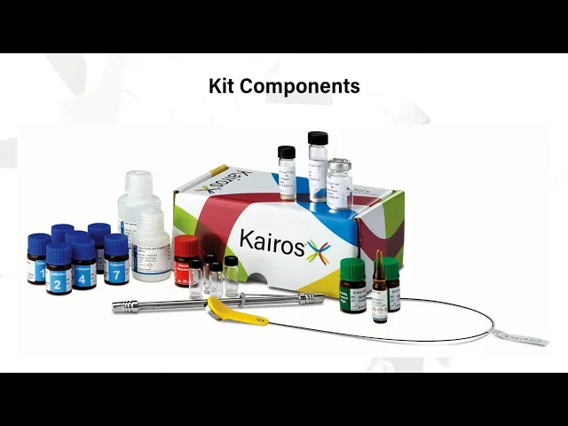 Kairos Amino Acid Kit