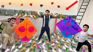 Umar Vs Usman Big Unique Kite Making Challenges Win 30 Colourful Kabooter