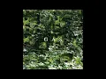 Download Lagu GAS - Der Lange Marsch [Full Album] (2021)