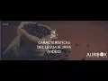 Caracteristicas del lenguaje Java