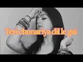 Teri Chunariya Dil Le Gai |Kumar Sanu+Alka Yagnik|Romantic songs|Slowed+Reverb|By MK music|#lofimk