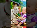 eats nodle funny 🍝🐐👶 #cutebaby #cocomelon