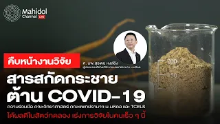 กระชายขาวมีสรรพคุณอย่างไรที่ทำให้คนทั่วไปต้องหามาใช้ในช่วงนี้