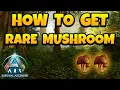 How to Get Rare Mushroom in ARK Ascended - The Island
