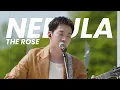 Download Lagu nebula; the rose [tradução/legendado]