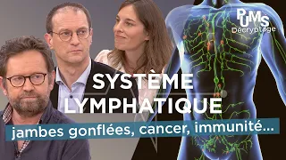 Bien COMPRENDRE votre système lymphatique : ce que vous devriez SAVOIR pour une bonne santé