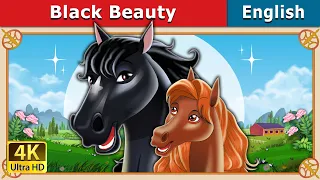 black beauty stories for teenagers englishfairytales