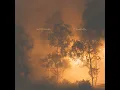 Wildfire - Watchhouse