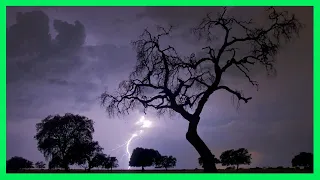 ⚡ Sound of Rain and Thunder ⚡ 4 Hours - Strong Storm - Relax Rain and Thunder to Sleep