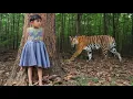 Download Lagu tiger attack man in the forest | tiger attack in jungle, royal bengal tiger attack