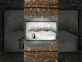 Creating the most magical winter scene in minutes full vid is on our website
