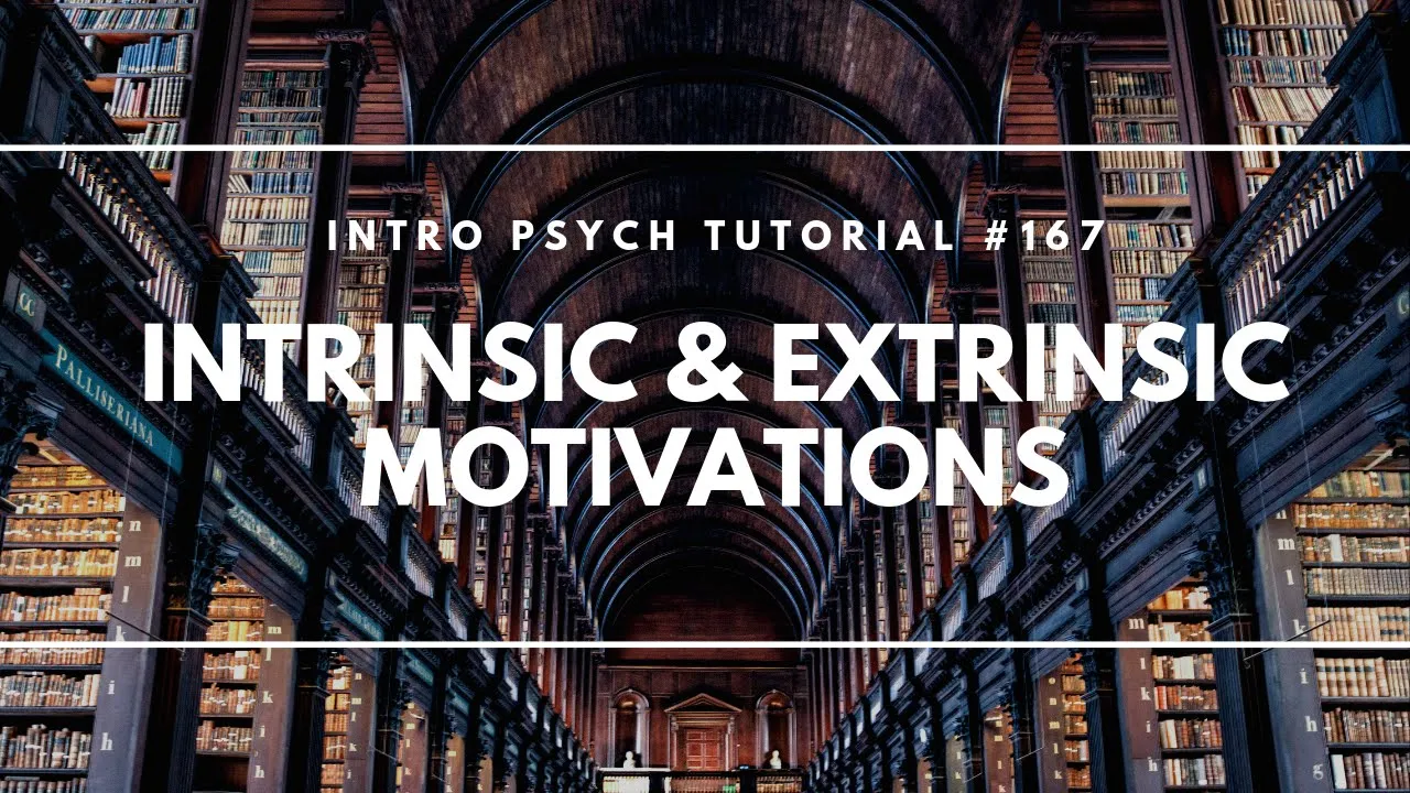 Intrinsic & Extrinsic Motivations (Intro Psych Tutorial #167)