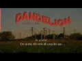 Vietsub | Dandelion - Galantis, JVKE | Nhạc Hot Tik Tok