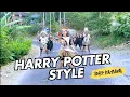 Download Lagu DJ HARRY POTTER Style Otnaira Terbaru!! Karnaval Bakung Blitar