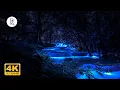 Download Lagu Forest Sounds at Night - Crickets, Creek Water Sounds, Rain \u0026 Thunder 🎧 Nature Sound