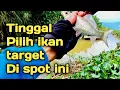 Download Lagu PARAH...IKAN PADA BEJUBELAN//Mbah Omi Fishing.