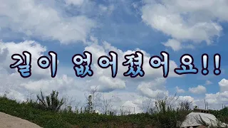 깊은산골 아카시아 나무 자연림 속으로 여행// 청기면 산운리!! 썸네일