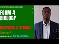 BIOLOGY - RESPONSE STIMULI LESSON 1