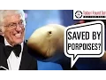 That Time Dick Van Dyke was Saved by Porpoises While Lost at Sea