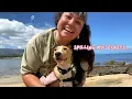 my favorite dog friendly spots on Oahu