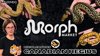 Ball Python Morphs You Can t Sleep On In 2026