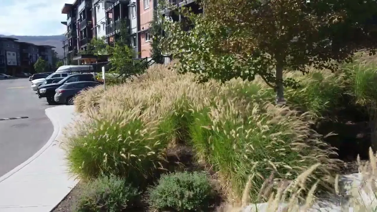 pool patrol pool covers