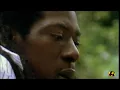 Peter Tosh - Legalize It  ( Live One Love Peace Concert 1978 )