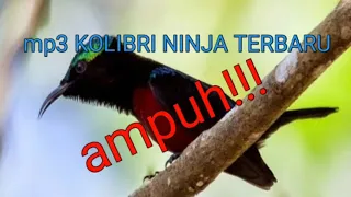 Download Mp3 kolibri ninja pikat, terbaru 2020 MP3